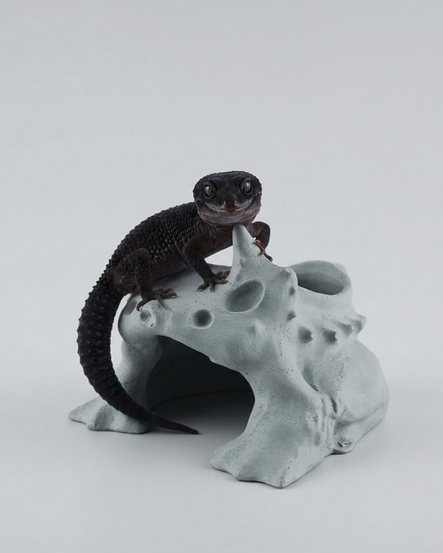 Gecko Nest-BIO POD