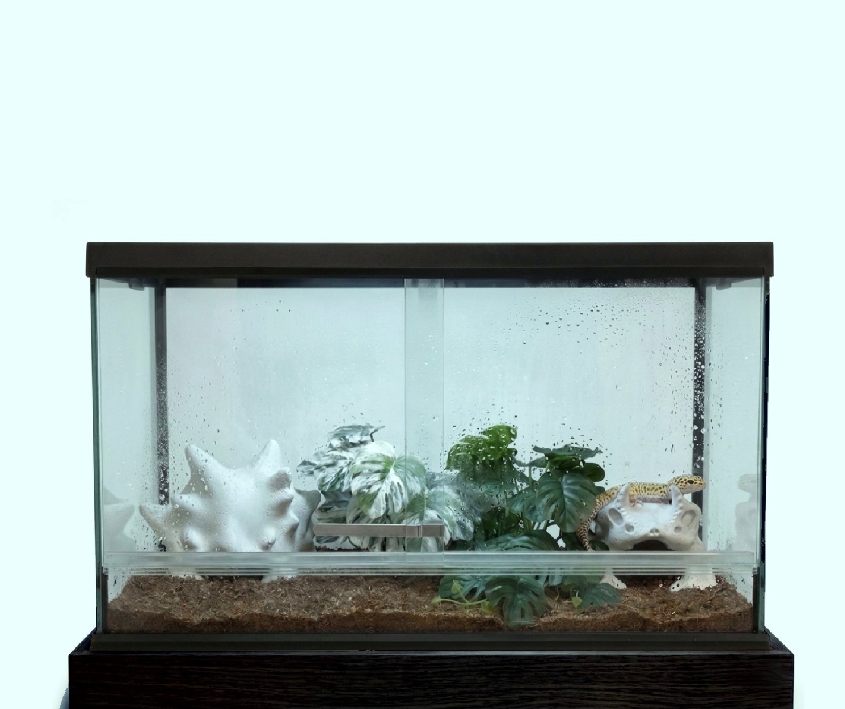 Gecko Nest-BIO POD